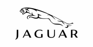 lunettes jaguar angers